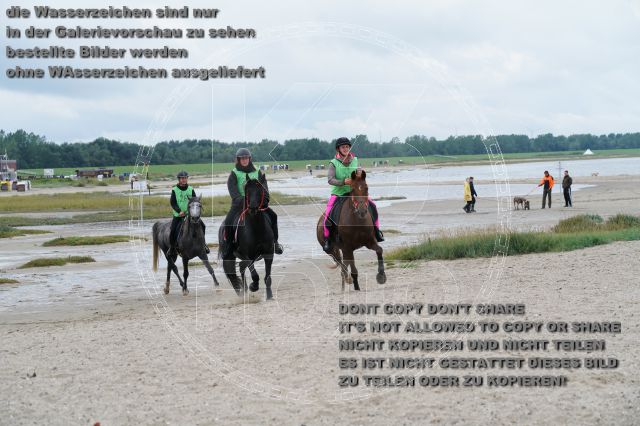s_K3F04918.JPG